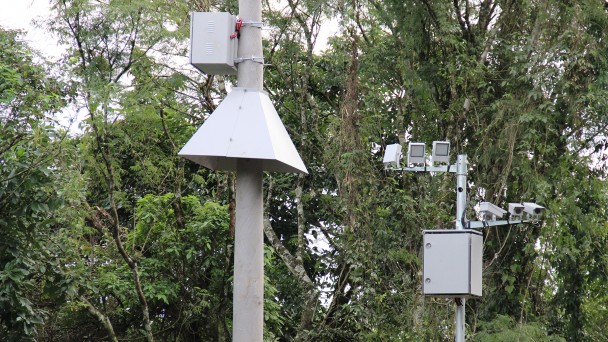 A foto mostra um controlador eletrônico de velocidade instalado em dois postes, em primeiro plano. Ao fundo, árvores que compõem a vegetação às margens de uma rodovia.