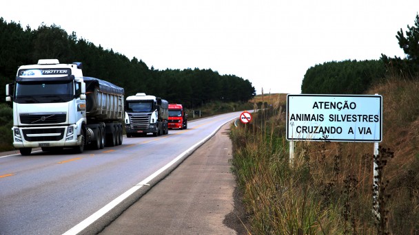TRANSPORTE DE CARGA